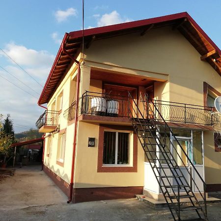 ホテル Casa Lidia Si Gogu Budeasa Mare エクステリア 写真