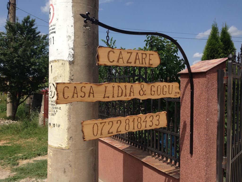 ホテル Casa Lidia Si Gogu Budeasa Mare エクステリア 写真