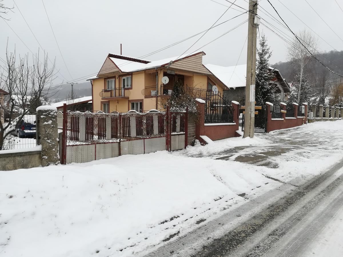ホテル Casa Lidia Si Gogu Budeasa Mare エクステリア 写真