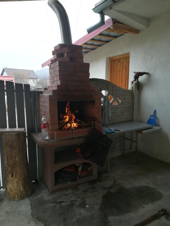 ホテル Casa Lidia Si Gogu Budeasa Mare エクステリア 写真