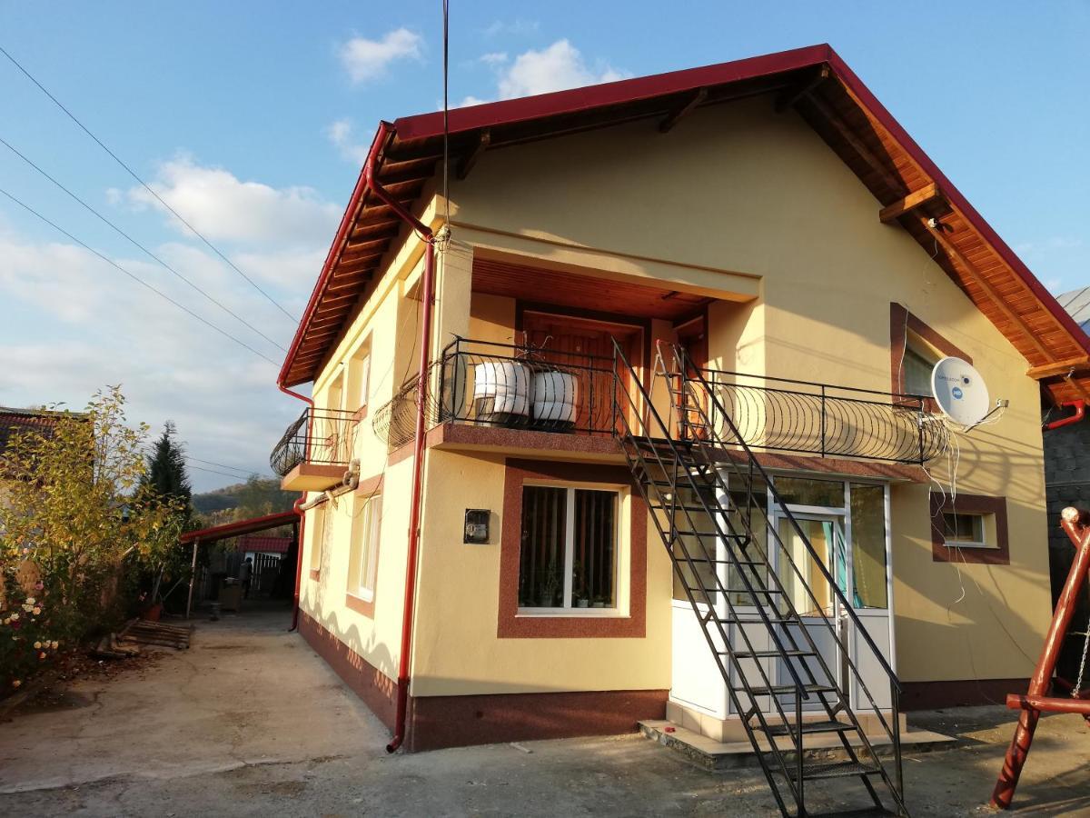 ホテル Casa Lidia Si Gogu Budeasa Mare エクステリア 写真